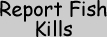report fish kills