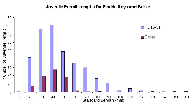 Permit Data