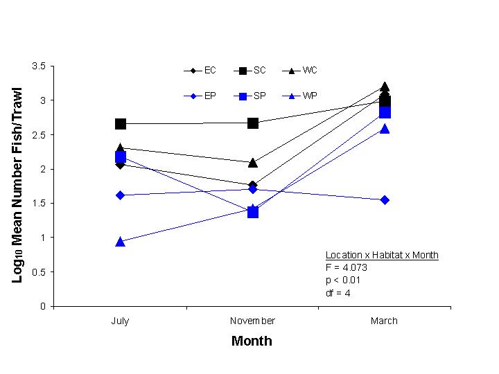 Seagrass Data